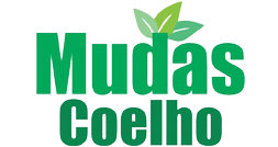 Mudas Coelho - Mudas Coelho localizado em Herculândia-SP, é especiaizado no transporte e plantio de palmeiras, mudas ornamentais, mudas frutíferas e cercas vivas.